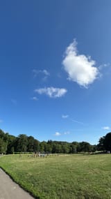 prospect park