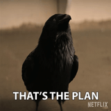 thats-the-plan-matthew-the-raven