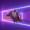 enbw-birds_thumb.jpg