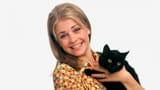 sabrina-the-teenage-witch-file-gty-ml-211001_1633095656833_hpMain_16x9_992
