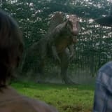 spino