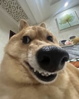 1724307801612303