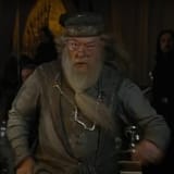 angrydumbldore