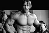 Arnold-Schwarzeneggers-Diet-and-Workout-Plan