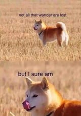 1476992207173