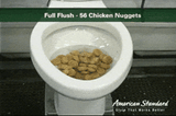 50_nuggie_flush