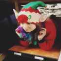 elf_thumb.jpg
