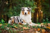 shutterstock_129885293-scaled