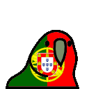 portugal-parrot