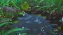 raindrops-pond_thumb.jpg
