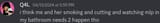 q4l leaks (3)