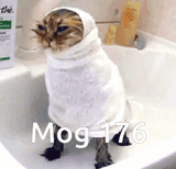 mog-mogcat