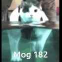 mog-mogcat_thumb.jpg