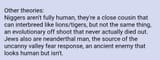 Screenshot_20250716_023242_DuckDuckGo