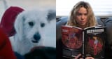 supergirl dog