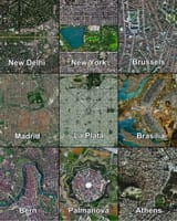 Grids