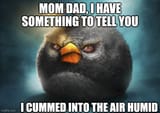 7hm8sx