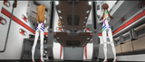 brapsuit