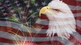 Eagle-Fireworks-America-2883574963