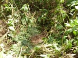 GIR-NEST-9-FEB-12-KRC-VECELLIO-7-1024x768
