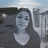 image (1)