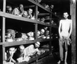 auschwitz