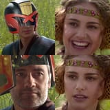 the law