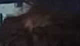 1752788837187469