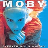 EverythingIsWrongMoby