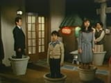 Japanese garden Police Squad