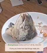 IFYOUONLY_salmon head