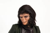 Dr.-Zira-3-small