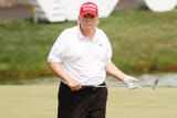 trumpfat2