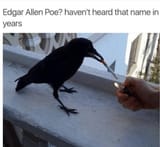 edgar-allen-poe-havent-heard-name-years