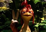 chickenjoee