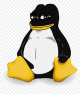 420-4207550_transparent-smug-pepe-png-transparent-linux-operating-system