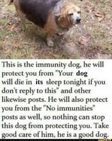 immunity dogh