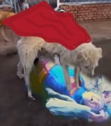 krypto_no