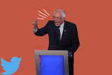 BERNIE-YELLS