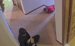 1705117579825_thumb.jpg