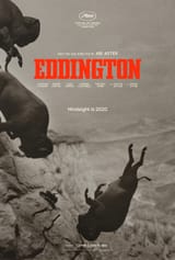 eddington_xlg