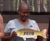 VETO