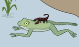 scorpion and the frog