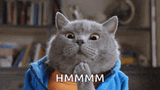 real cat thinking