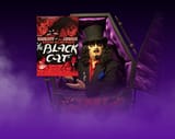 The Black Cat