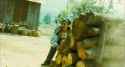 Born to Fight (2004)_thumb.jpg