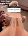 EsteemedFarawayCowrie_thumb.jpg