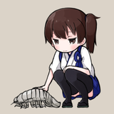 petting isopods
