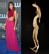zendaya-130120-01