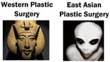 plastic surgery east vs west